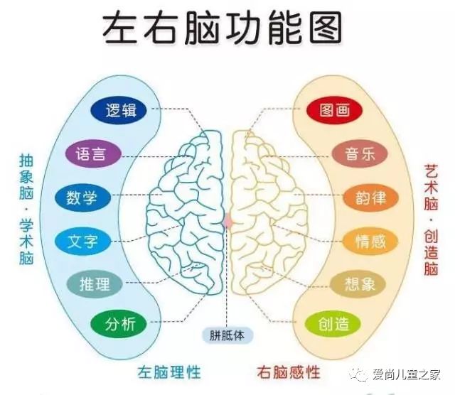 全脑开发课程